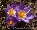 AddText_02-25-02.24.45