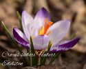 AddText_02-25-02.04.05