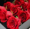 Trandafiri rosii inima +cadou un Colier Argint