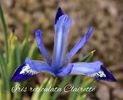 AddText_03-03-02.15.09