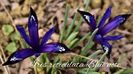 AddText_03-03-02.14.07