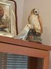 IMG-20220629-WA0008