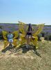 IMG-20220702-WA0003