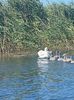 IMG-20220623-WA0010