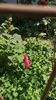 IMG-20220826-WA0005