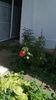 IMG-20220826-WA0004