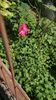 IMG-20220826-WA0006