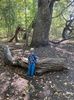 IMG-20221007-WA0007