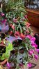 IMG-20221127-WA0000