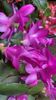 IMG-20221127-WA0001