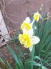 IMG20230316111626