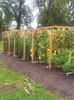 ㏗  hydroponic vertical garden