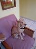 IMG-20220301-WA0013