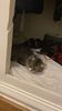 IMG-20220302-WA0008