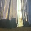 IMG-20220311-WA0008