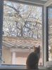 IMG-20220329-WA0008