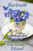 IMG-20220330-WA0001