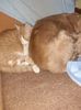 IMG-20220407-WA0003