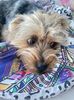 IMG-20220412-WA0020