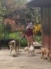 IMG-20220425-WA0006