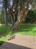 IMG-20220709-WA0008