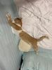 IMG-20220819-WA0000