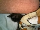 IMG-20220904-WA0009
