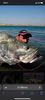 IMG-20220925-WA0001
