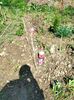 IMG20230324114031