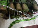 Service DISTRIBUITOR John Deere