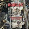 Service BOBCAT