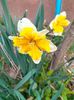 IMG20230327090058