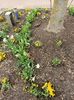Img.2023.03.29