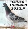 2022.1339460.M  OLI.60 - Copy