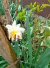 IMG20230401142429