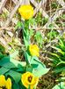 IMG20230331104145