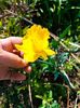 IMG20230331104057