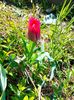 IMG20230331104048