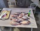 IMG20230326110725