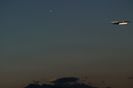 Luna noua in Berbec