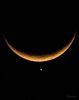 Luna noua si Venus in Taur