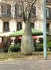 IMG20230306145114