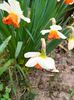 IMG20230407171627