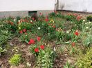 Img.2023.04.11