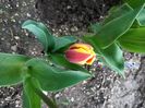 Img.2023.04.11