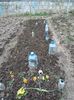 Img.2023.04.11