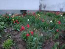 Img.2023.04.11