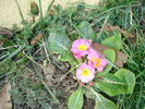 DSC07247