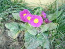 DSC07261