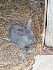 IMG-20230414-WA0014